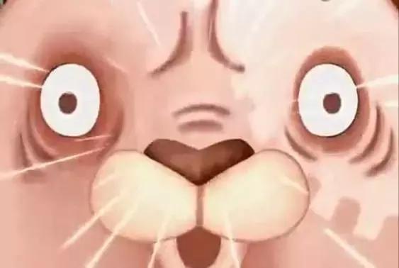 摇号没有摇上的还有机会吗,很多人可能一辈子摇不到号