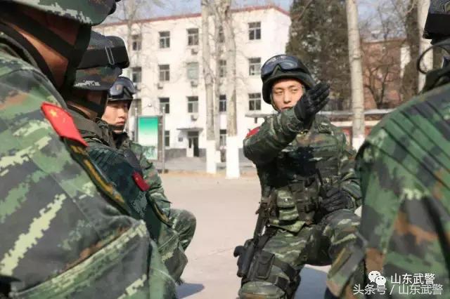 军语解释,军语基本知识