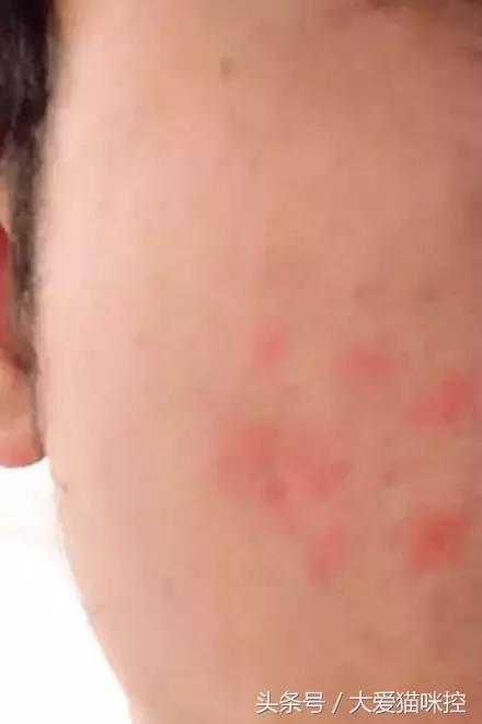 主人起床后发现脸上全是印泥，调查后发现，凶手是它