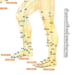 老祖宗养生十二式,养生四宝锻炼方法