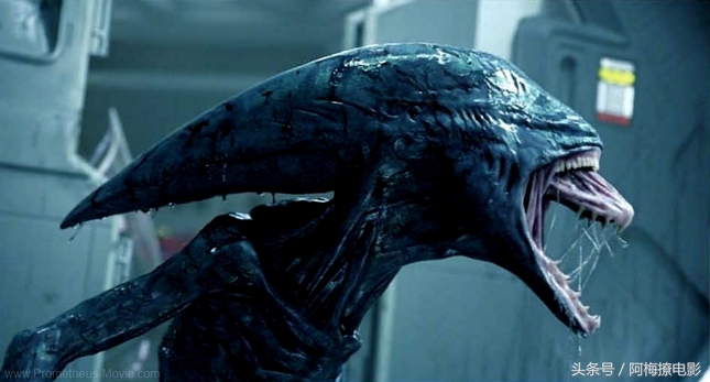 电影异形中最毛骨悚然的片段,8部最恐怖异形电影