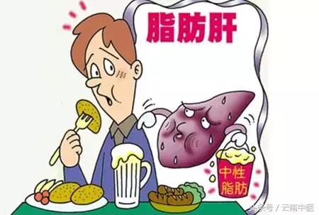 患上脂肪肝怎么办？先从这四点做起！