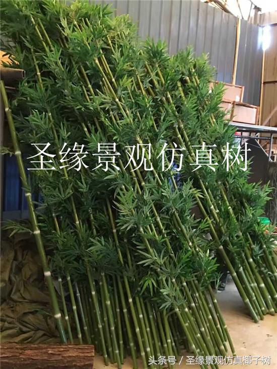 仿真粗竹子植物,似竹子的室内植物
