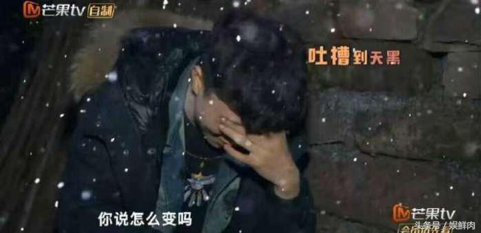 变形计陈新颖和丽姐全集,变形记陈新颖完整版