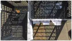 小区微信卖水果，看完这篇就会了！4000多字，全是干货！