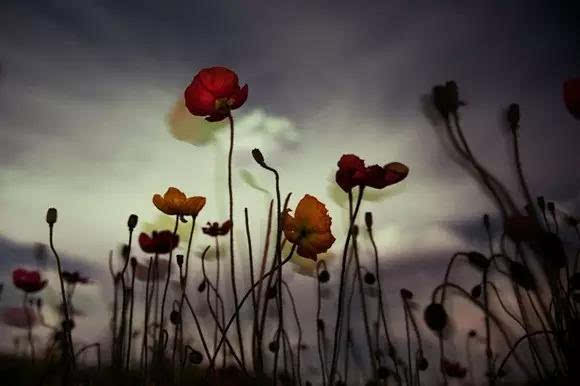 浙江五一旅游攻略亲子游,五一山东小众旅游亲子游