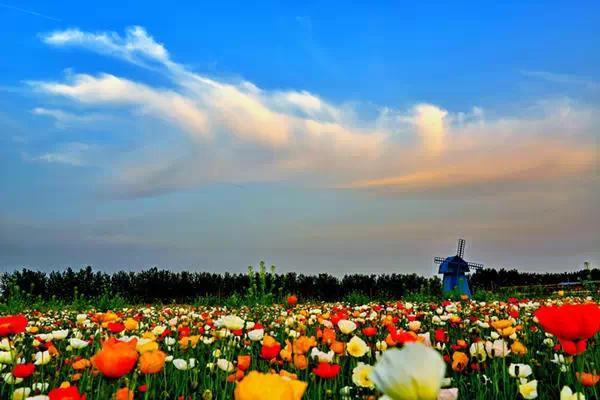 浙江五一旅游攻略亲子游,五一山东小众旅游亲子游