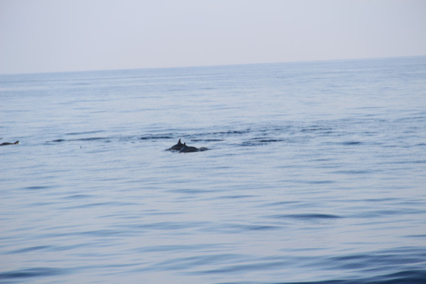 成都到马尔代夫旅游团七日游价格,马尔代夫成都出发旅游