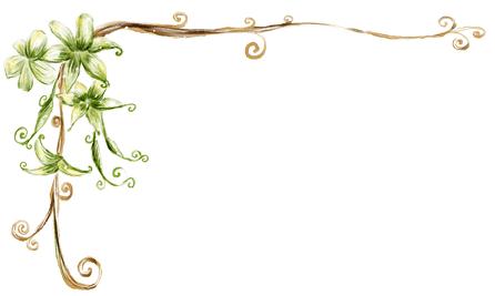 上海高铁到黄山4日游攻略,上海高铁到黄山旅行攻略