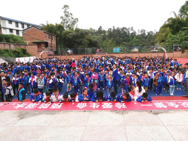 团团最近在玩什么,团团最近活动