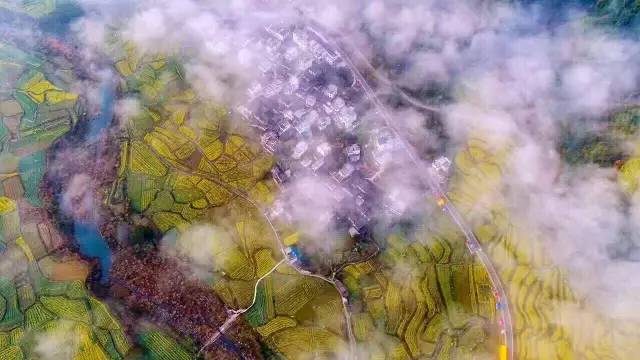 上海高铁到黄山4日游攻略,上海高铁到黄山旅行攻略