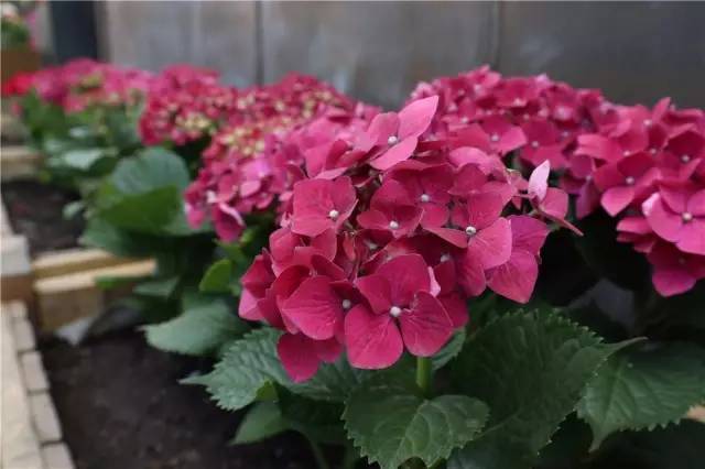 跟着鹿晗去兜风,跟着鹿晗去北京