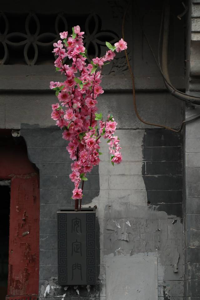跟着鹿晗去兜风,跟着鹿晗去北京