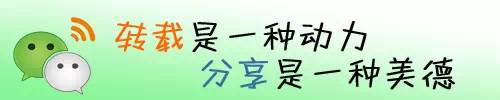 地滚球锦标赛,东莞市锦标赛