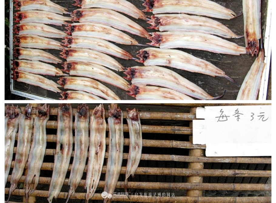 浏河古镇的特色介绍,浏河古镇朴素自然的美