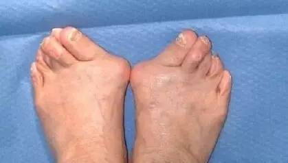 金姐吐槽一针见血完整版,金姐毒舌点评