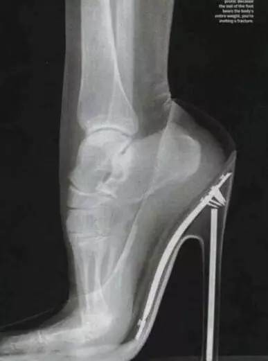 金姐吐槽一针见血完整版,金姐毒舌点评