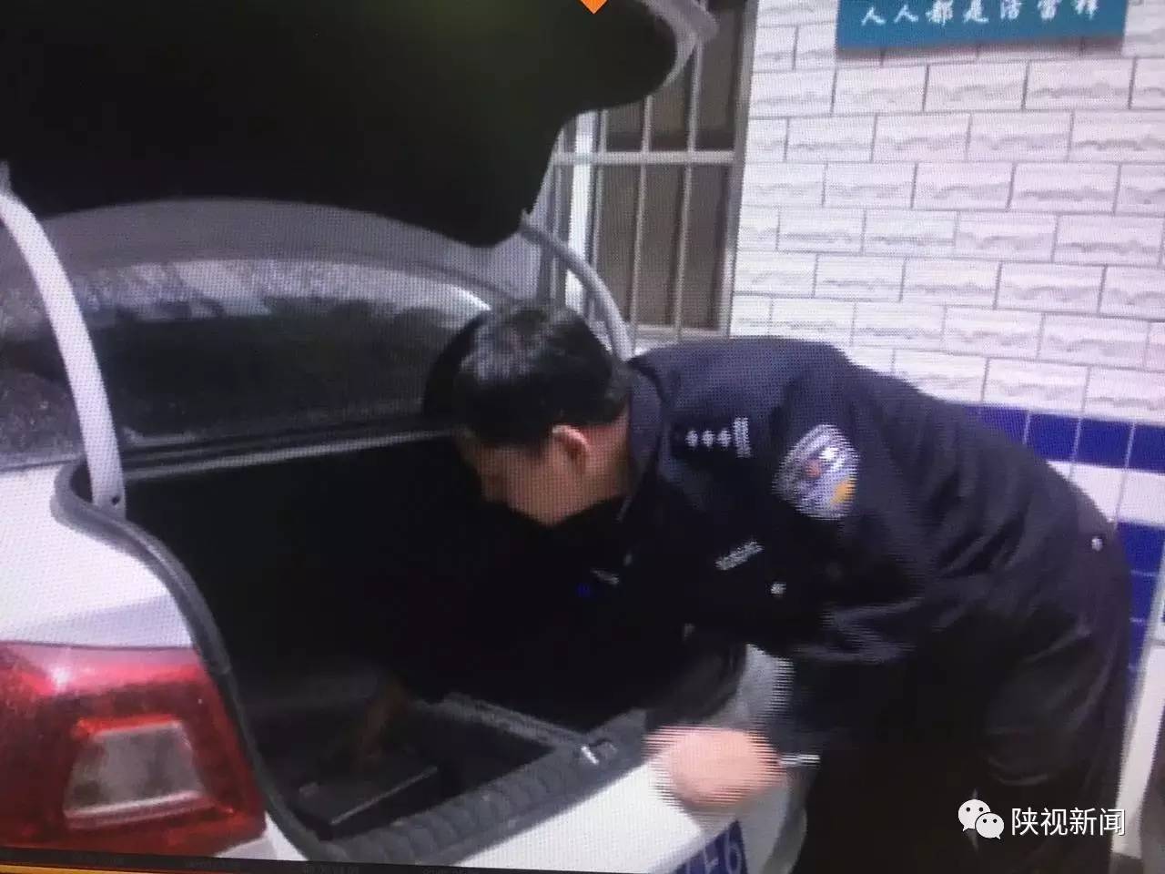 你的手机一直收到验证码,你的手机最近收到的短信是什么