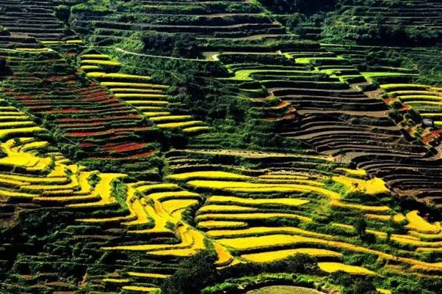 上海高铁到黄山4日游攻略,上海高铁到黄山旅行攻略