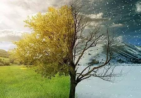 春困猛如虎教您如何远离春困,怎样防止春困推荐六种方法