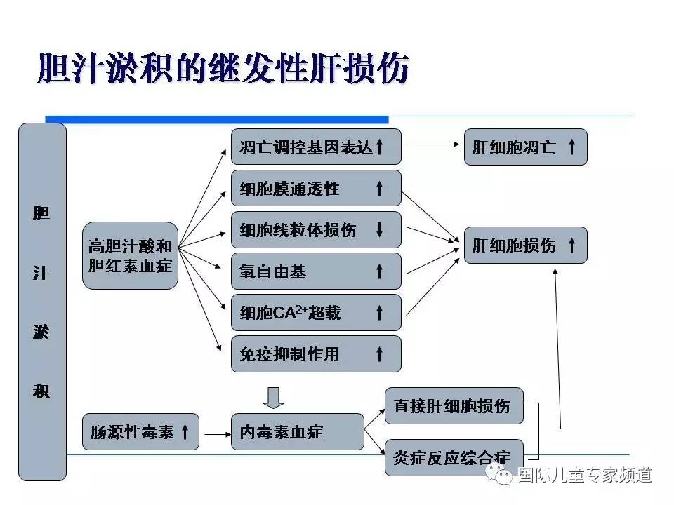 「PPT干货」国际儿童专家频道学术讲座.NO7——浙江大学医学院附属儿童医院消化科，陈洁主任主讲《婴儿胆汁淤积性肝病的诊治》