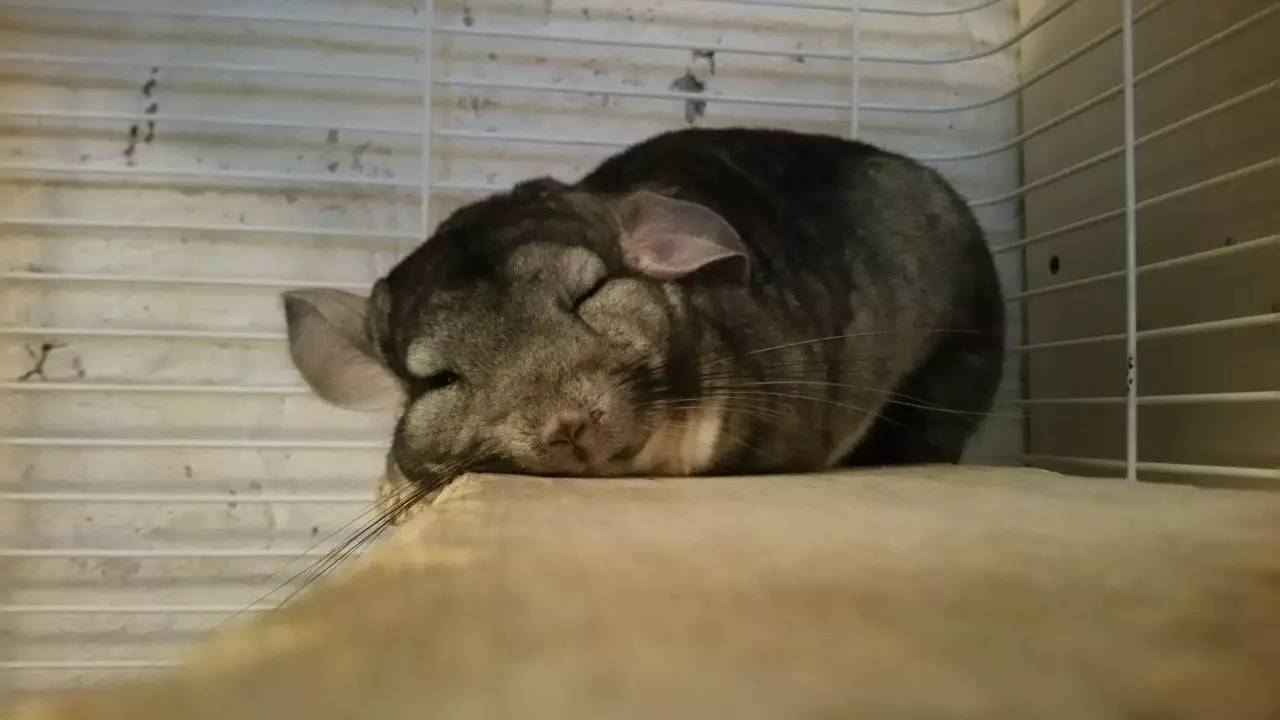 想要属于自己的东西为什么,想要属于自己的东西