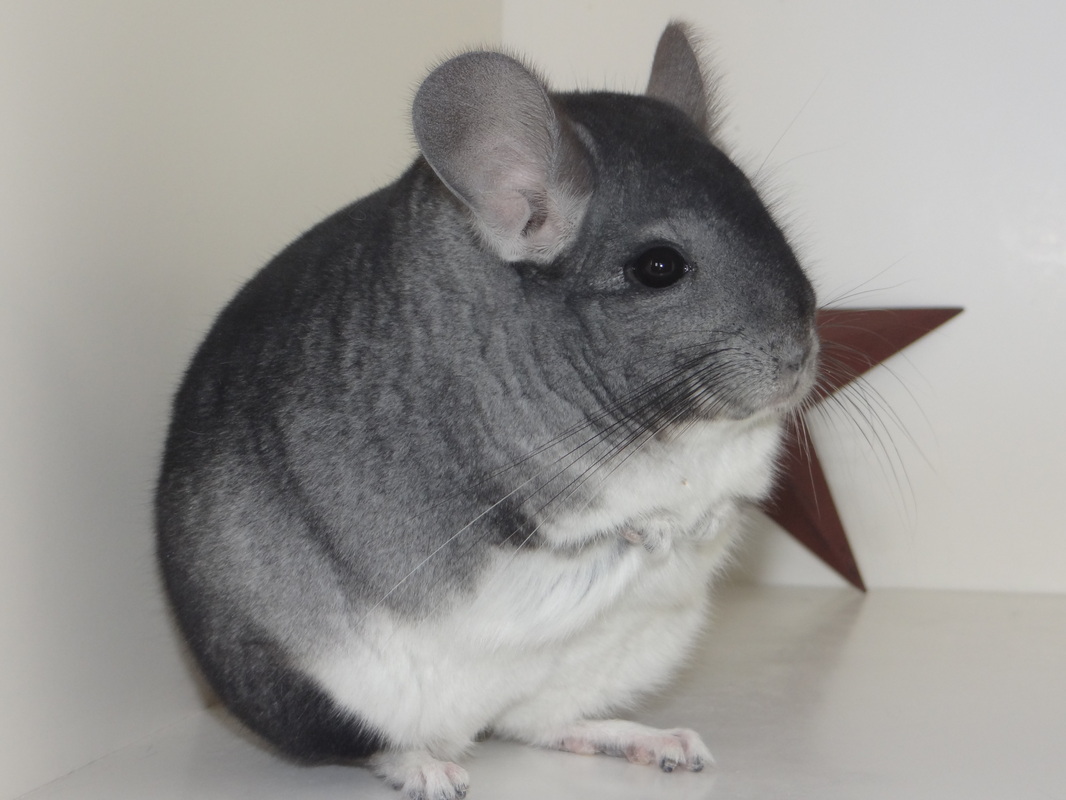 想要属于自己的东西为什么,想要属于自己的东西