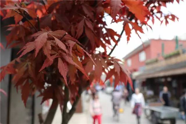 跟着鹿晗去兜风,跟着鹿晗去北京