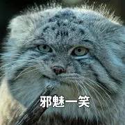 暴走漫画表情高清大图,暴走漫画表情包收纳盒