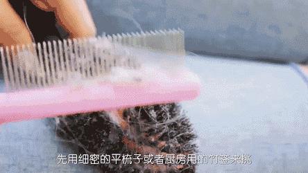 发质干枯头发硬？无需花钱去理发店，轻松在家也搞定！