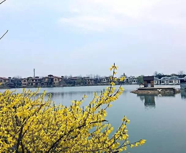 「“魏”资讯」花都温泉4.28星级大牌湖畔夜市欢乐开趴！