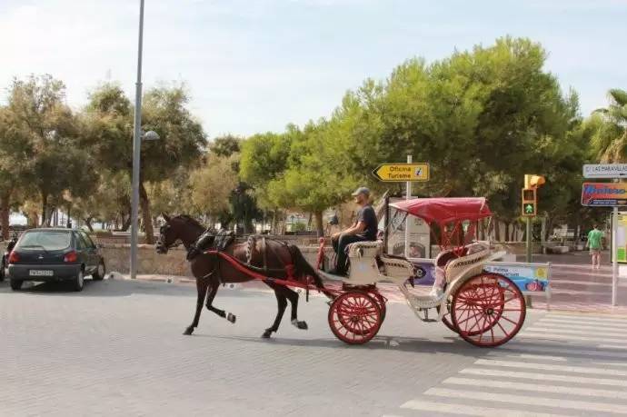梦幻西游小岛旅行,梦幻西游约会地方