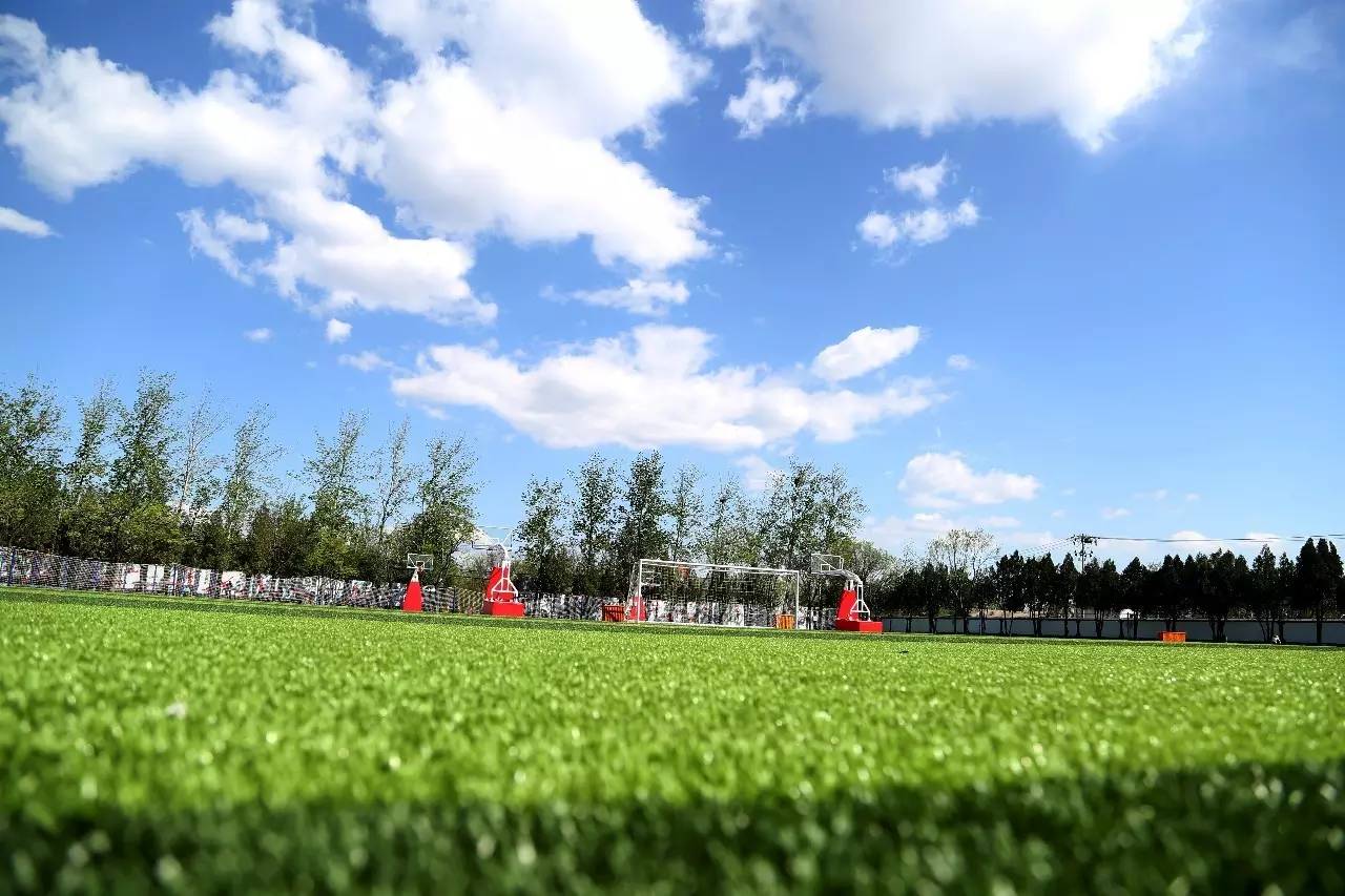 学校围观活动,围观校运会