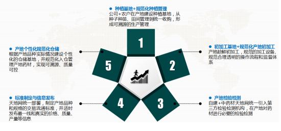 关于加快中药材产业化发展意见,中药材种植前景分析