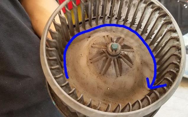 发动机舱进老鼠有什么风险,如何避免发动机舱进老鼠