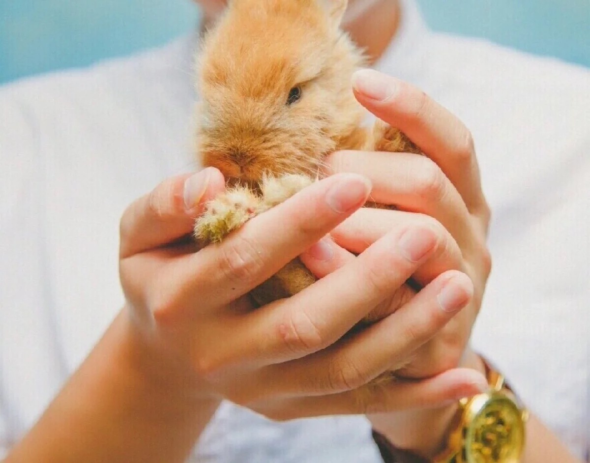 头像合集｜你说你要和我共白头，我染完你又说我非主流