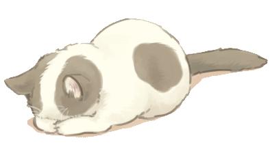 天气热宠物怎么样养好,天气热了宠物应该关注什么