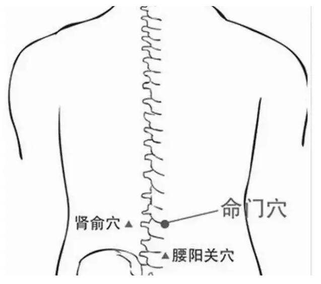 千寒易除一湿难祛全诗,千寒易除一湿难祛