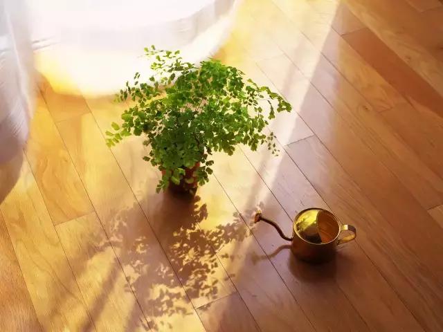 母亲生病散文,关于生病的伤感散文