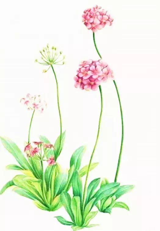 德阳低碳出行周边旅游民宿推荐,德阳好耍的民宿推荐