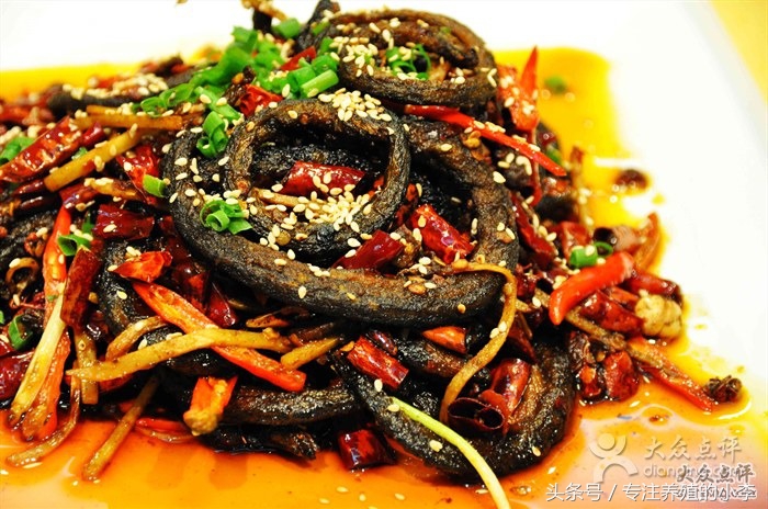 黄鳝体内的寄生虫叫什么,泥鳅和黄鳝体内真的有寄生虫吗