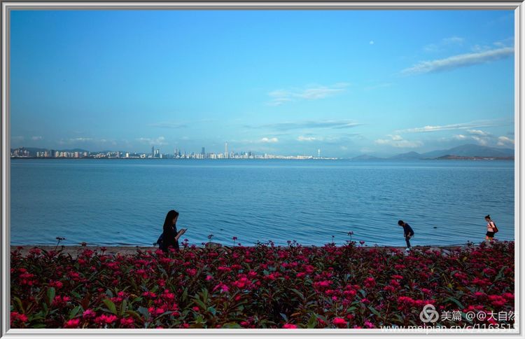最美深圳城市全景,最美深圳打卡地文旅点