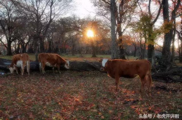 五一去吉林集安旅游攻略,集安旅游攻略大全