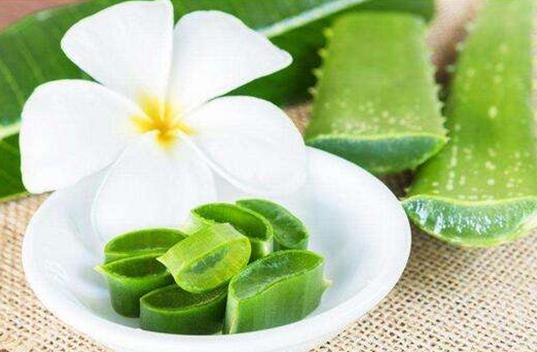 哪种芦荟产品是纯天然的,购买芦荟的美容护肤产品