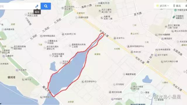 好消息加大整改力度,好消息藏龙岛