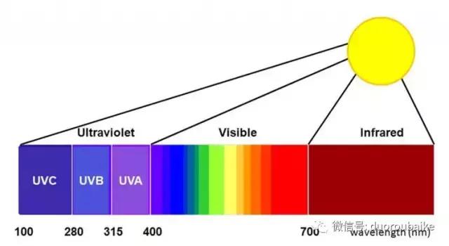 紫外线照射对植物的影响,紫外线光对植物生长的影响