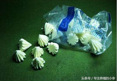 黄鳝体内的寄生虫叫什么,泥鳅和黄鳝体内真的有寄生虫吗