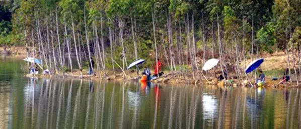 浙江五一旅游攻略亲子游,五一山东小众旅游亲子游