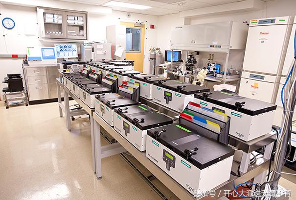 当有人骗你生女儿时该怎么回答,假如有人拿怀表催眠你