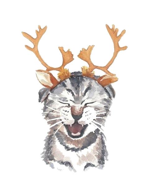 天气热宠物怎么样养好,天气热了宠物应该关注什么